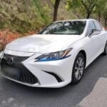 2020 Lexus ES for sale 859387 | Eauto Export