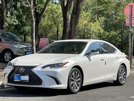 2020 Lexus ES for sale 878271 | Eauto Export