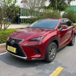 2020 Lexus NX 2L: Import from China