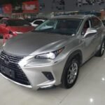 2020 Lexus NX for sale 925056 | Eauto Export