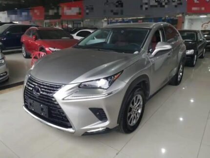 2020 Lexus NX for sale 925056 | Eauto Export