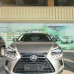 2020 Lexus NX for sale 932349 | Eauto Export