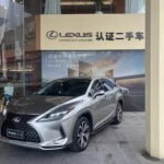 2020 Lexus RX 2L Petrol 4WD - China