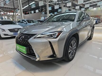 2020 Lexus UX EV for sale 925100 | Eauto Export