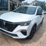 2020 Roewe RX5 for sale 901976 | Eauto Export