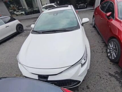 2020 Toyota Levin for sale 920143 | Eauto Export