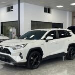 2020 Toyota RAV4 for sale 856331 | Eauto Export