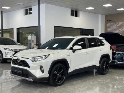 2020 Toyota RAV4 for sale 856331 | Eauto Export