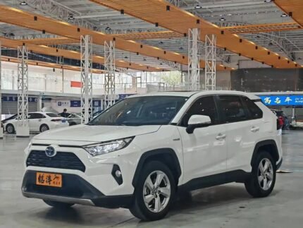2020 Toyota RAV4 for sale 871231 | Eauto Export