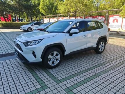 2020 Toyota RAV4 for sale 871689 | Eauto Export