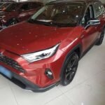 2020 Toyota RAV4 for sale 875001 | Eauto Export