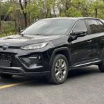 2020 Toyota Wildlander for sale 920252 | Eauto Export