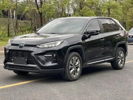 2020 Toyota Wildlander for sale 920252 | Eauto Export
