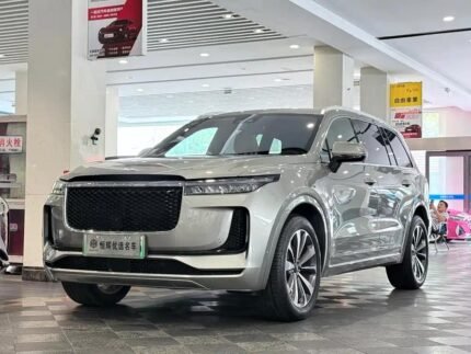 2021 1 Li English Book - Top 10 Chinese EV Companies
