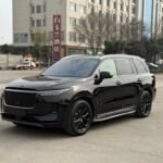 2021 1 Li Ganit - Innovative New Chinese EV for Import