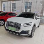 2021 Audi Q2L e-tron for sale 880117 | Eauto Export