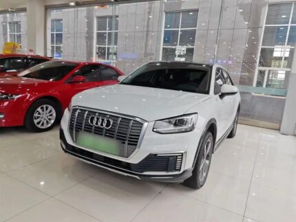 2021 Audi Q2L e-tron for sale 880117 | Eauto Export