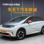 2021 BYD Dolphin for sale 913321 | Eauto Export