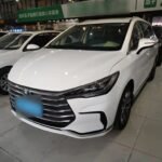 2021 BYD Song MAX New Energy: Chinese Car Number Meaning