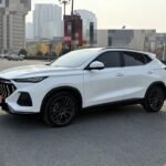 2021 Changan Oshan X5 - Best Chinese EV Models
