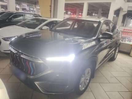 2021 Changan Oshan X5 for sale 916396 | Eauto Export