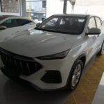 2021 Changan Oshan X5 for sale 916397 | Eauto Export