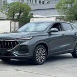 2021 Changan Oshan X5 for Sale Pakistan - EV Chinese Cars