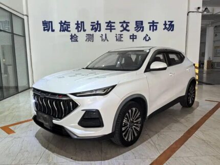 2021 Changan Oshan X5 Fuel Average - New Chinese EV
