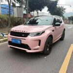 2021 Dog Guard for Land Rover Discovery Sport - Where to Buy Chinese Cars