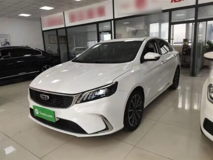2021 Geely Binrui for sale 923195 | Eauto Export