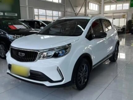 2021 Geely Yuanjing X3 for sale 924036 | Eauto Export