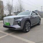 2021 Hongqi E-HS9 for sale 922813 | Eauto Export