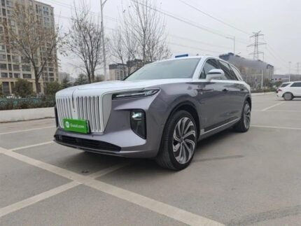 2021 Hongqi E-HS9 for sale 922813 | Eauto Export