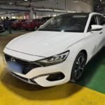 2021 Hyundai Lafesta for sale 931004 | Eauto Export