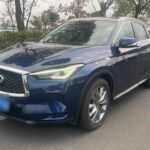 2021 Infiniti QX50 for sale 932218 | Eauto Export