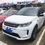 2021 Land Rover Discovery Sport for sale 860505 | Eauto Export