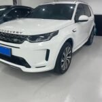 2021 Land Rover Discovery Sport for sale 863765 | Eauto Export