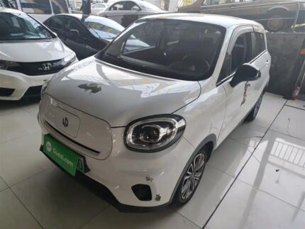 2021 Leapmotor T03 Accessories - China Cars Review Pick