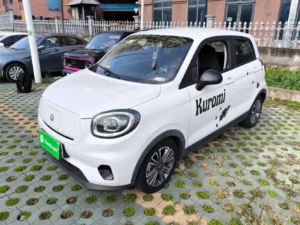 2021 Leapmotor T03 Batteria - EV Chinese Cars for Import