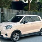 2021 Leapmotor T03 for sale 925464 | Eauto Export