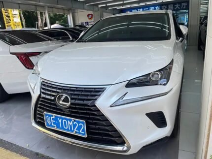 2021 Lexus NX 2L: Import from China