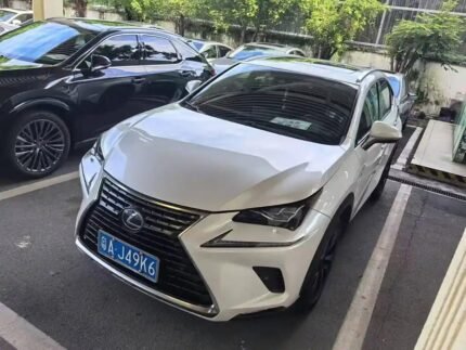 2021 Lexus NX Hybrid: Premium Used