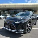 2021 Lexus RX Hybrid 4WD - China Export