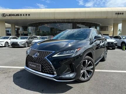 2021 Lexus RX Hybrid 4WD - China Export