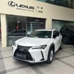 2021 Lexus UX 2L Petrol - China Export