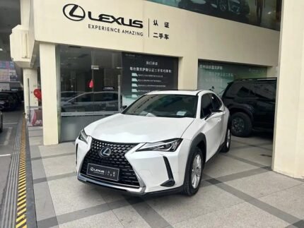 2021 Lexus UX 2L Petrol - China Export