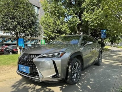2021 Lexus UX Electric - China Export