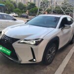 2021 Lexus UX EV - Premium New Chinese EV Car