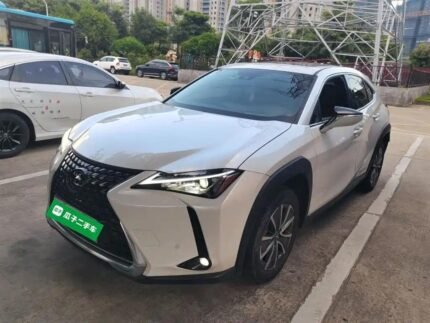 2021 Lexus UX EV - Premium New Chinese EV Car