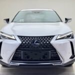 2021 Lexus UX EV - Top 5 Chinese EV Companies Pick